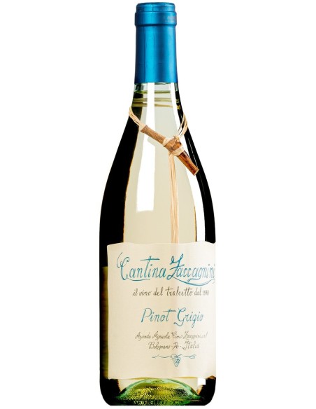 Pinot Grigio Terre di Chieti IGT "Tralcetto" 2024 (Ag.Agr. Ciccio Zaccagnini)