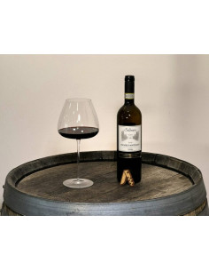 Amarone della Valpolicella...