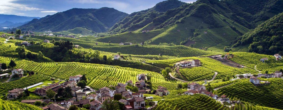 3. Cesta za víny Itálie: Veneto (Prosecco)