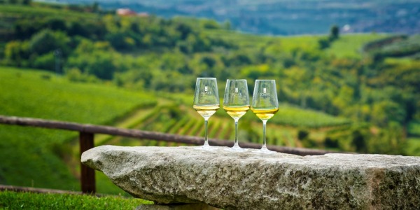 5. Cesta za víny Itálie : Veneto (Soave)