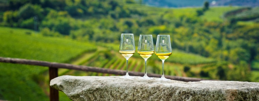 5. Cesta za víny Itálie : Veneto (Soave)