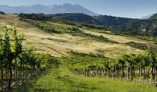 10. Cesta za víny Itálie: Abruzzo a jeho Montepulciano