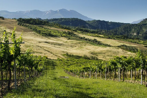 10. Cesta za víny Itálie: Abruzzo a jeho Montepulciano