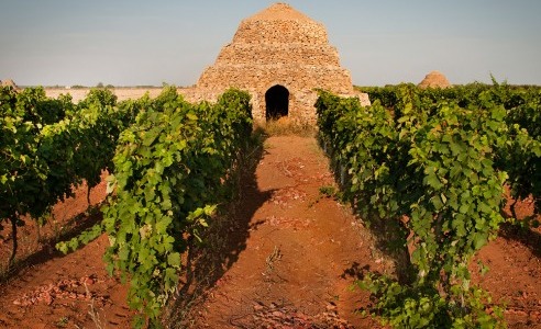 11. Cesta za víny Itálie: Apulie - "Vinný sklep Evropy"