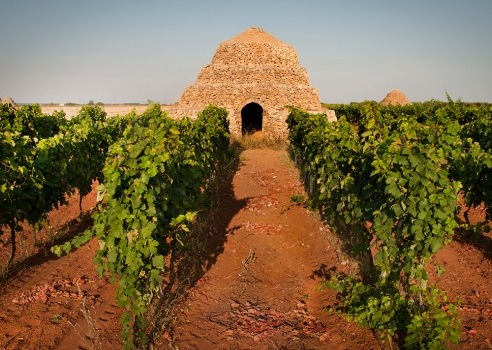 11. Cesta za víny Itálie: Apulie - "Vinný sklep Evropy"