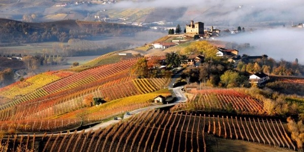 16. Cesta za víny Itálie: Piemonte - "Burgunsko" Itálie 