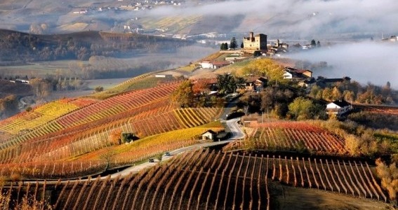 16. Cesta za víny Itálie: Piemonte - "Burgunsko" Itálie 