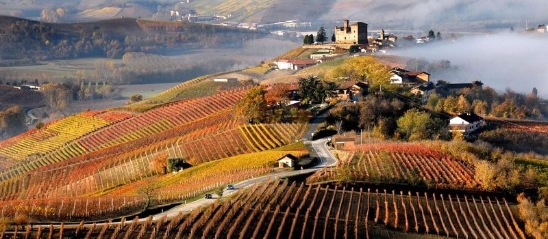 16. Cesta za víny Itálie: Piemonte - "Burgunsko" Itálie 