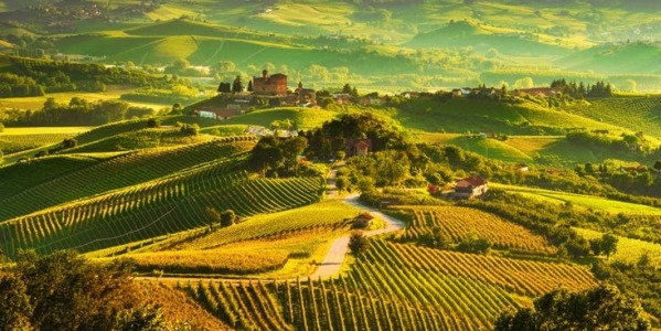 Leden 2024 - Nové ročníky vín z Piemontu 