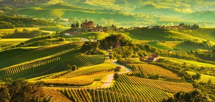 Leden 2024 - Nové ročníky vín z Piemontu 