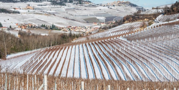 Únor 2024 - Nové ročníky vín z italských regionů