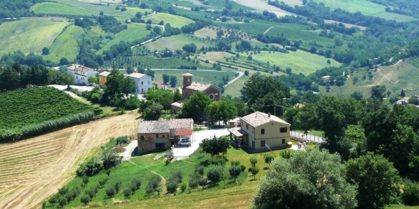Verdicchio - víno z doby starého Říma