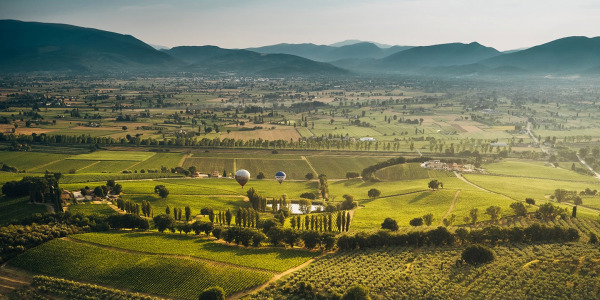 Montefalco Sagratino DOCG - klenot z Umbrie