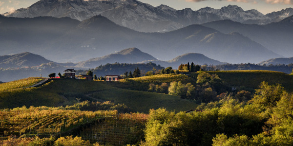Gattinara DOCG – elegantní Nebbiolo z úpatí Monte Rossa